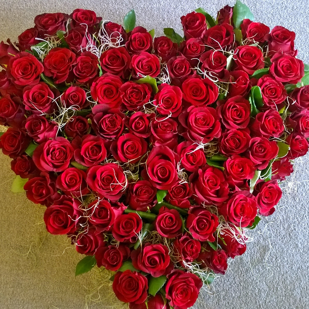 Valentine’s Day | Brigitte's Flowers